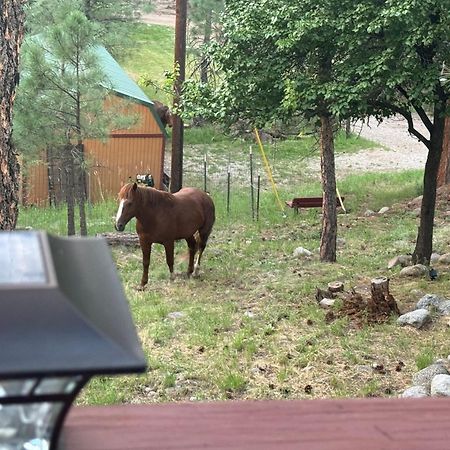 Gonzales Cozy Little Bear Cabin Ruidoso Kültér fotó