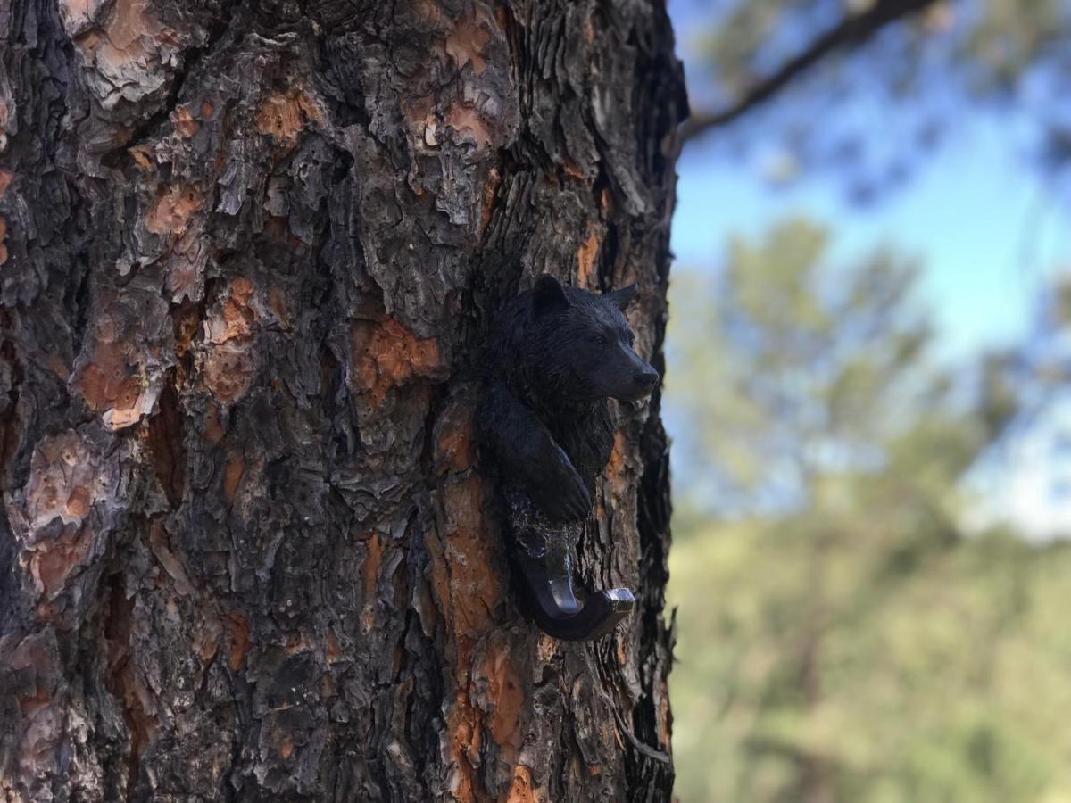 Gonzales Cozy Little Bear Cabin Ruidoso Kültér fotó