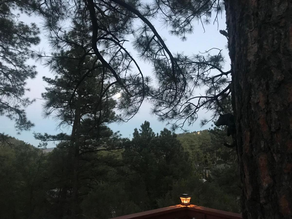 Gonzales Cozy Little Bear Cabin Ruidoso Kültér fotó